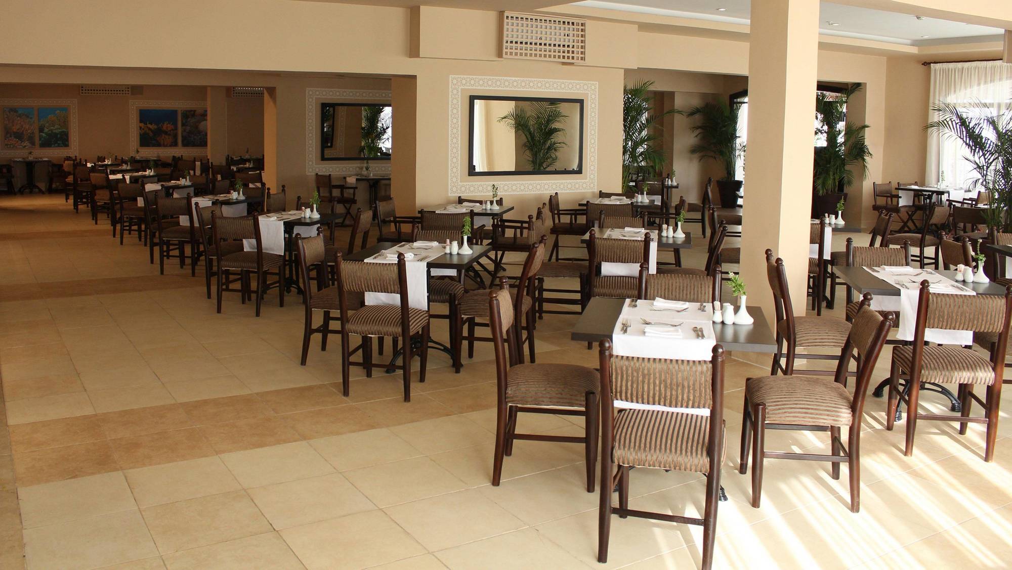 Jaz Neo Naama Bay Hotel Sarm es-Sejk Kültér fotó